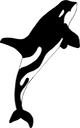 Orca  Vertical, angled png